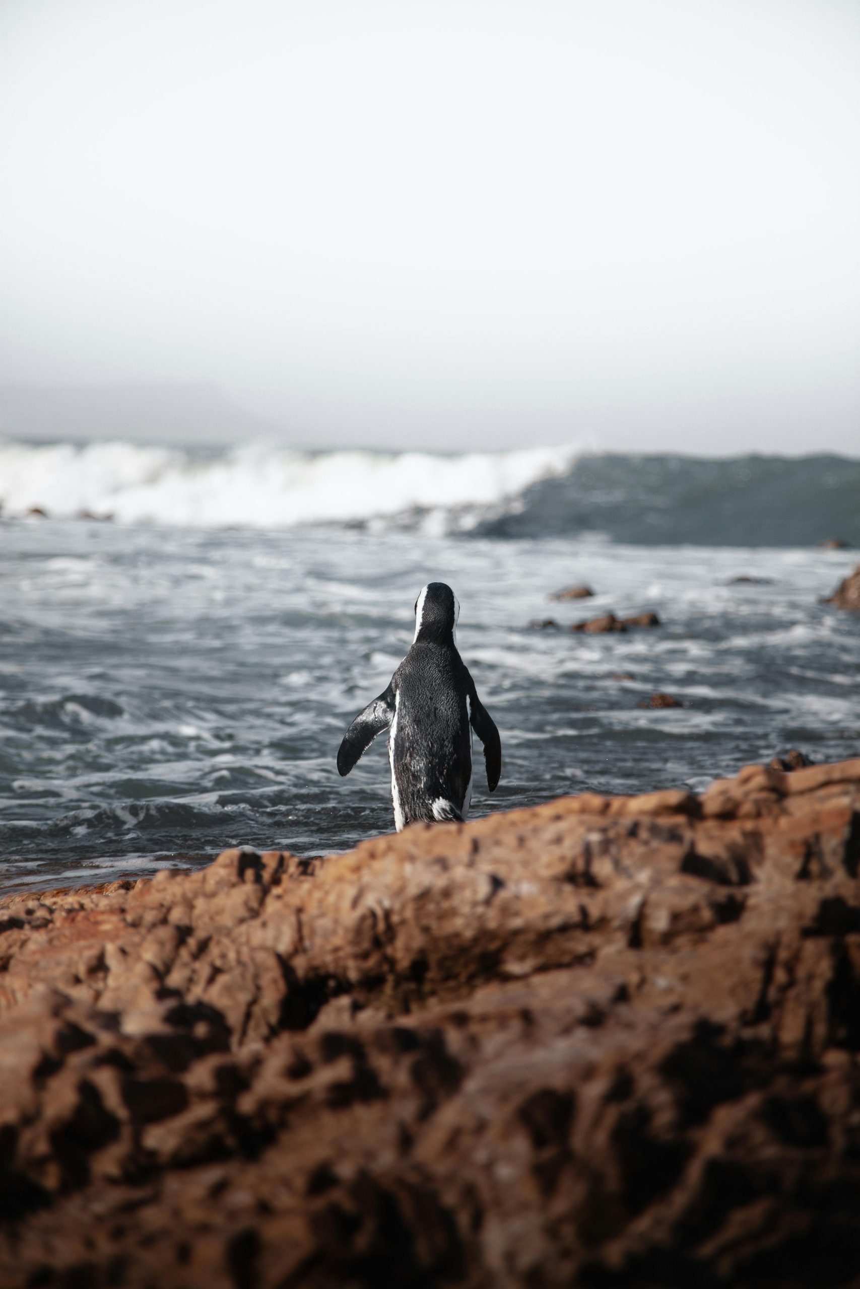 pexels dmitriy causelove 218646814 12030818